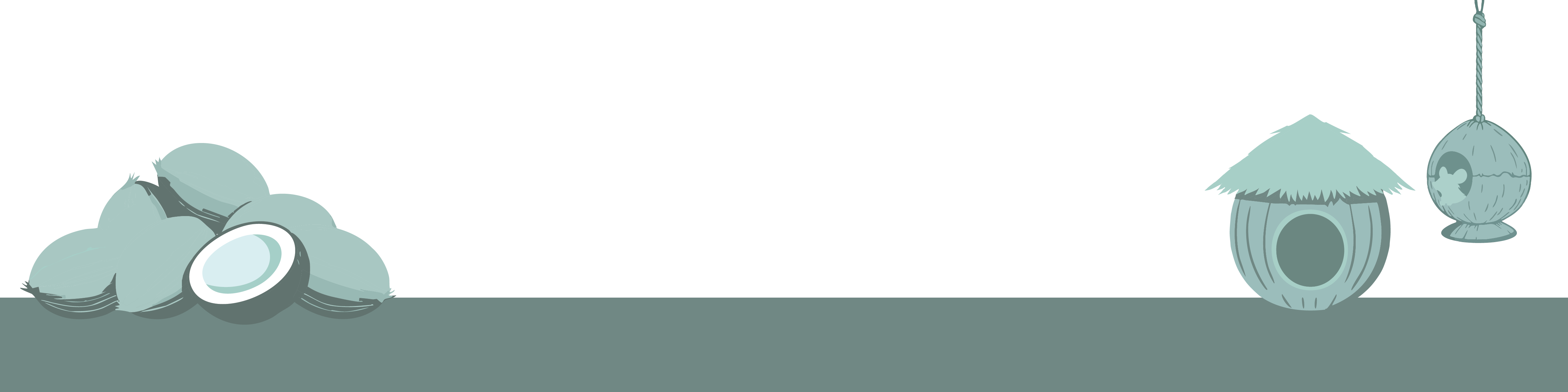 Kokosnoten voor Knaagdieren